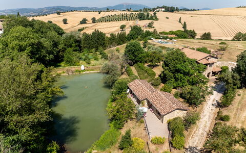 Il Giuncheto Apartments, Pool, Umbrian Countryside: Boom, Huis, Landelijk Gebied, Landschap, Huis, Land Lot, Menselijke Nederzetting, Verblijf, Landgoed