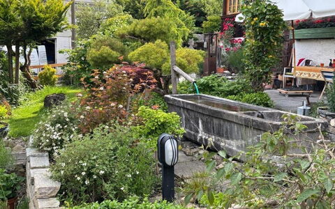 Gartenstudio Belle Vue: Groen, Struik, Tuin, Groundcover, De Lente, Botanische Tuin, Landscaping, Werf, Gang