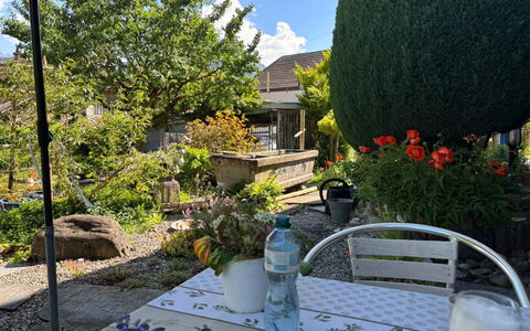 Gartenstudio Belle Vue: Groen, Meubilair, Struik, Tuin, Stoel, Bloempot, Tafel, Buitenmeubels, Buitentafel