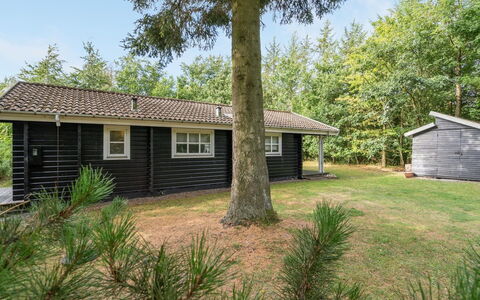 Iulger - 30Km from the Sea: Flooring, Verdieping, Plafond, Interieur Ontwerp, Countertop, Keuken, Cabinetry, Kamer, Major Appliance, Lichte Inrichting