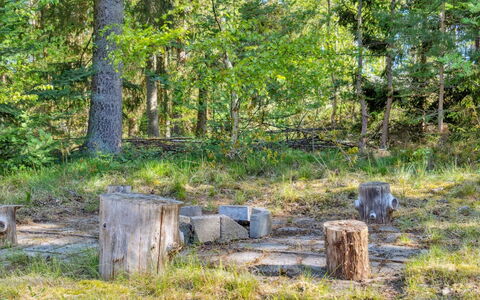 Sigge - 5Km from the Sea: Hout, Huis, Veranda, Dek, Hardwood, Dak, Beits, Houten Vloer, Eco Hotel