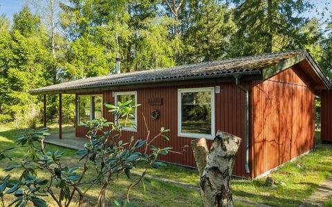 Sigge - 5Km from the Sea: Hout, Huis, Veranda, Dek, Hardwood, Dak, Beits, Houten Vloer, Eco Hotel