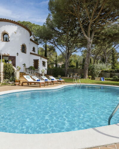 Serenity: Zwembad, Toevlucht, Tuin, Landscaping, Landgoed, Badplaats, Buitenmeubels, Villa, Eco Hotel, Park