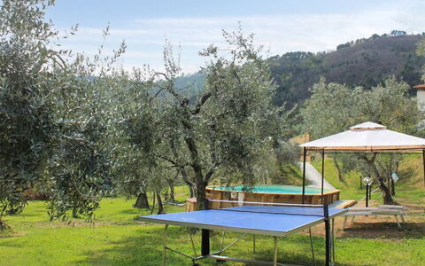 Il Casale di San Jacopo con Piscina Privata: Tuin, Gazon, Schaduw, Buitenmeubels, Backyard, Park, Werf, Landscaping
