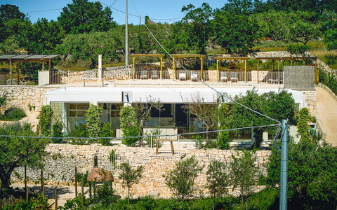 Trullo Emmebi Vista Valle D'Itria: Stenen Muur, Schaduw, Landgoed, Landscaping, Werf, Backyard, Villa, Hacienda, Balkon