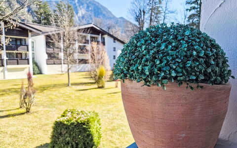 Grubhof: Groundcover, Tuin