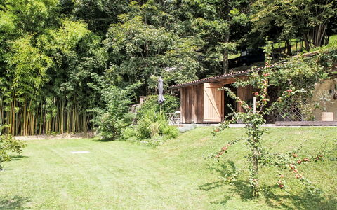 Uggine 66: Tuin, Schaduw, Gazon, Landscaping, Werf, Park