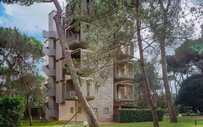 Life Tower