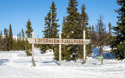 Svanhågna Gård: Hout, Verblijf, Huis, Huis, Dak, Siding, Winter, Sneeuw, Freezing, Helling