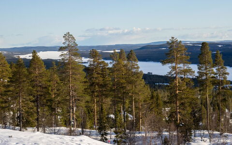 Svanhågna Gård: Hout, Verblijf, Huis, Huis, Dak, Siding, Winter, Sneeuw, Freezing, Helling