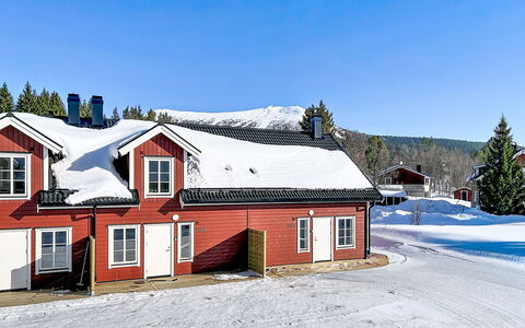 Svanhågna Gård: Hout, Verblijf, Huis, Huis, Dak, Siding, Winter, Sneeuw, Freezing, Helling