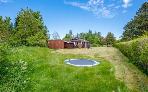 Vilhelm - 7.5Km from the Sea: Gras, Landschap, Struik, Land Lot, Tuin, Plain, Landelijk Gebied, Gazon, Verblijf, Weide