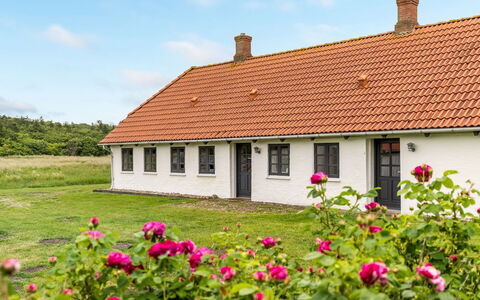 Nette - 15Km from the Sea: Lucht, Gras, Dak, Huis, Huis, Verblijf, Plain, Landelijk Gebied, Landschap, Grasland