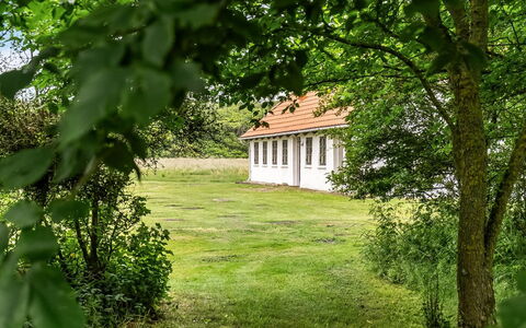 Nette - 15Km from the Sea: Boom, Gras, Blad, Struik, Landelijk Gebied, Land Lot, Plain, Huis, Verblijf, Gazon