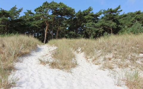 Yaris - 4.5Km from the Sea: Blauw, Verblijf, Huis, Huis, Boerderij, Landgoed, Siding