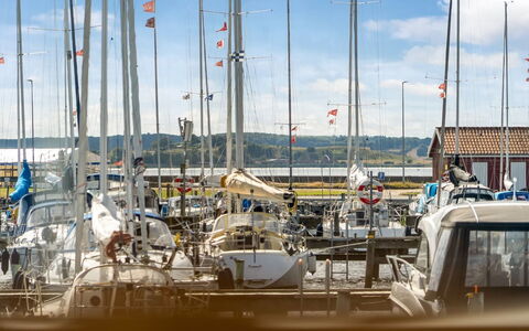 Ake - 10M to the Fjord: Dak, Huis, Deur, Verblijf, Schaduw, Siding, Werf, Landgoed, Backyard