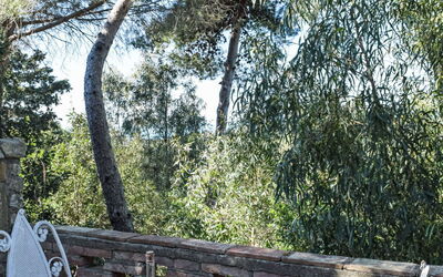 Accommodatie:&nbsp;Terrazzina 13.1