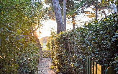 Accommodatie:&nbsp;Terrazzina 13.1