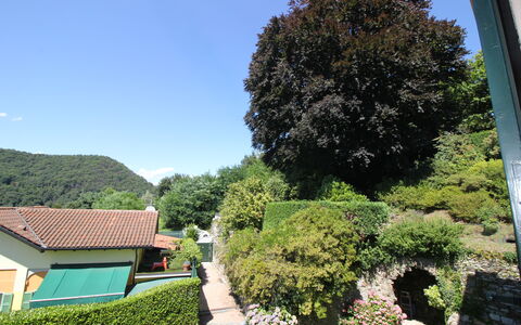 Bellavista Dimora Storica Vista Lago: Groen, Blad, Vegetation, Struik, Tuin, Haag, Landscaping, Botanische Tuin, Evergreen