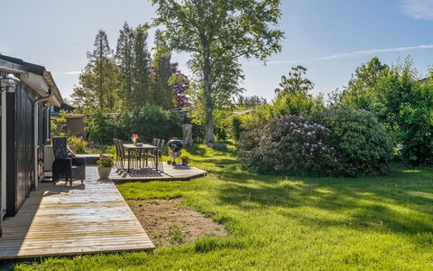 Stefana - from the Sea: Boom, Gras, Groen, Vegetation, Struik, Tuin, Landschap, Land Lot, Landelijk Gebied