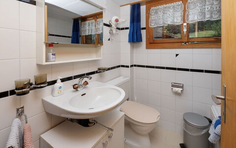 Haus Margrittli: Loodgieterswerkinrichting, Badkamer, Wastafel In De Badkamer, Wastafel, Interieur Ontwerp, Kraan, Loodgieter, Flooring, Countertop, Badkamerkast