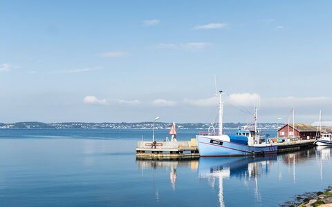 Delan - 650M from the Sea: Boom, Bank, Verblijf, Landelijk Gebied, Meer, Reflectie, Reservoir, Vijver
