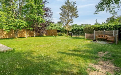 Nikica - from the Sea: Boom, Gras, Tuin, Struik, Land Lot, Grasland, Plain, Gazon, Schaduw