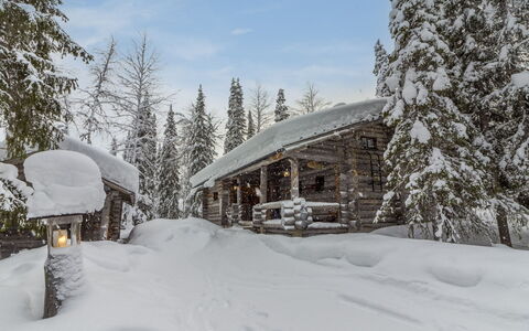 Mäkikelo: Sneeuw, Winter, Afdeling, Hout, Verblijf, Freezing, Huis, Lariks