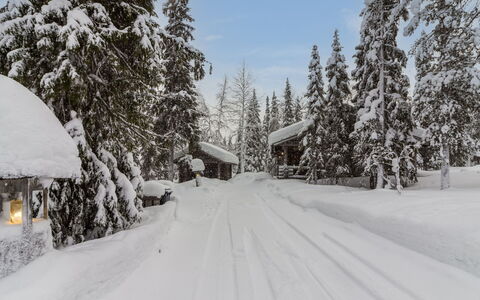 Mäkikelo: Sneeuw, Afdeling, Winter, Boom, Freezing, Geologisch Fenomeen, Helling, Vorst, Lariks, Verblijf