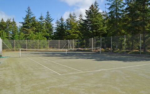 Udder - 1.3Km from the Sea: Tennisbaan, Winter, Netto, Lariks, Evergreen