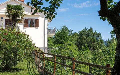 Orbani: Struik, Balkon, Tuin, Schaduw, Werf, Veranda, Villa, Backyard
