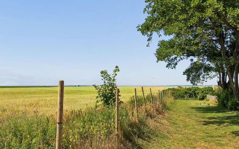 Milan - 20Km from the Sea: Dak, Huis, Huis, Verblijf, Deur, Siding, Landgoed, Gazon, Werf, Veranda