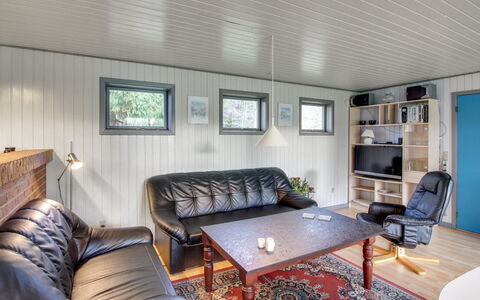 Kate - 700M to the Fjord: Plafond, Hout, Interieur Ontwerp, Flooring, Verdieping, Meubilair, Bankstel, Kamer, Woonkamer, Huis