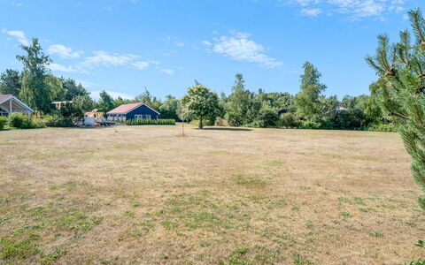 Safina - 1Km from the Sea: Lucht, Blauw, Plain, Landschap, Land Lot, Landelijk Gebied, Veld, Gazon, Weide, Pasture