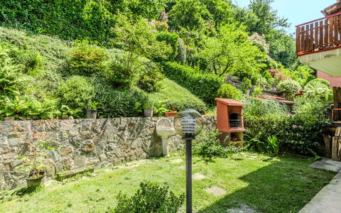 Lidia: Groen, Struik, Tuin, Plantengemeenschap, Groundcover, Landscaping, Werf, Backyard, Botanische Tuin