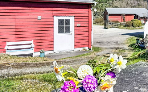 Mjølkerommet: Struik, Huis, Verblijf, De Lente, Tuin, Schuur, Werf, Siding, Garden Gebouwen, Oprit