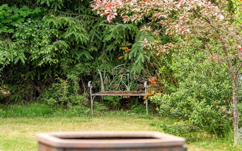Jamie - from the Sea: Blad, Vegetation, Struik, Plantengemeenschap, Tuin, De Lente, Groundcover, Gazon, Park, Werf