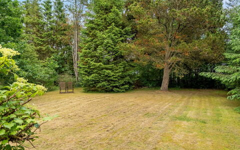 Jamie - from the Sea: Boom, Gras, Groen, Blad, Struik, Tuin, Land Lot, Gazon, Groundcover