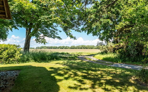 Fausta - 2Km from the Sea: Blauw, Groen, Dag, Gras, Boom, Natuur, Natuurlijke Omgeving, Blad, Afdeling, Grasland