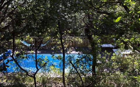 Villa Sole - Exclusive Villa al Conero con Piscina: Blauw, Natuur, Blad, Afdeling, Zwembad, Schaduw, Zonlicht, Takje, Tuin, Backyard