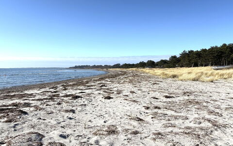 Euphemia - 200M from the Sea: Water, Strand, Kust, Kust, Horizon, Kust En Oceanic Landvormen, Zee, Zand, Oceaan