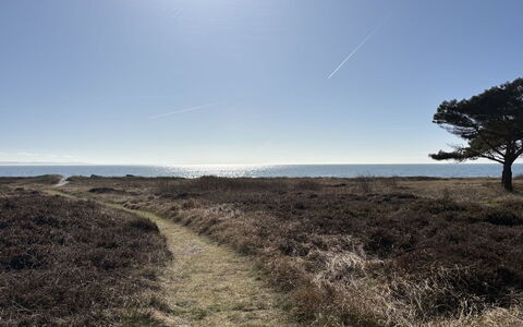 Euphemia - 200M from the Sea: Lucht, Blauw, Gras, Horizon, Vegetation, Ecoregio, Natuurlijk Landschap, Grasland, Plain, Plantengemeenschap