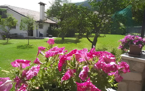 La Corte di Marga - Casa Gustet: Bloem, Petal, Roze, Struik, Tuin, De Lente, Groundcover, Bloeiende Plant, Purper