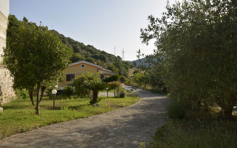 Villa del Monte: Vegetation, Landschap, Struik, Landelijk Gebied, Oprit, Bergdorp, Trail, Gang, Pad