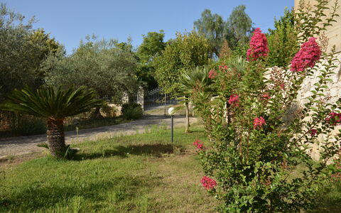Villa del Monte: Bloem, Struik, Tuin, Roze, De Lente, Bloeiende Plant, Landscaping, Botanische Tuin, Werf