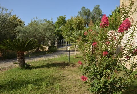 Villa del Monte: Bloem, Struik, Tuin, Roze, De Lente, Bloeiende Plant, Landscaping, Botanische Tuin, Werf