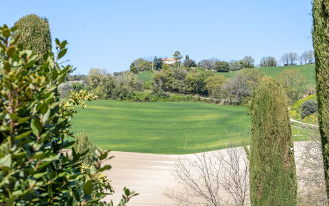 Serafini Holiday Home: Groen, Struik, Grasland, Landschap, Land Lot, Plain, Tuin, Weide, Gazon, Pasture