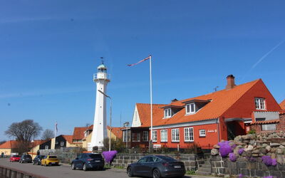 Cedomir - 400M from the Sea