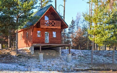 Hradec Kralove 4: Boom, Hout, Huis, Verblijf, Huis, Winter, Blokhut, Freezing, Siding, Sneeuw