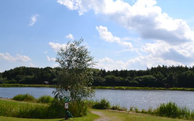 Jalina - 30Km from the Sea